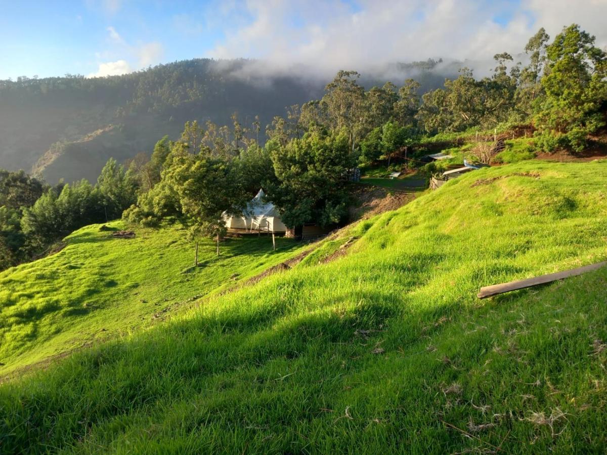 Arambha Ecovillage Farmstay Tabua  Bagian luar foto