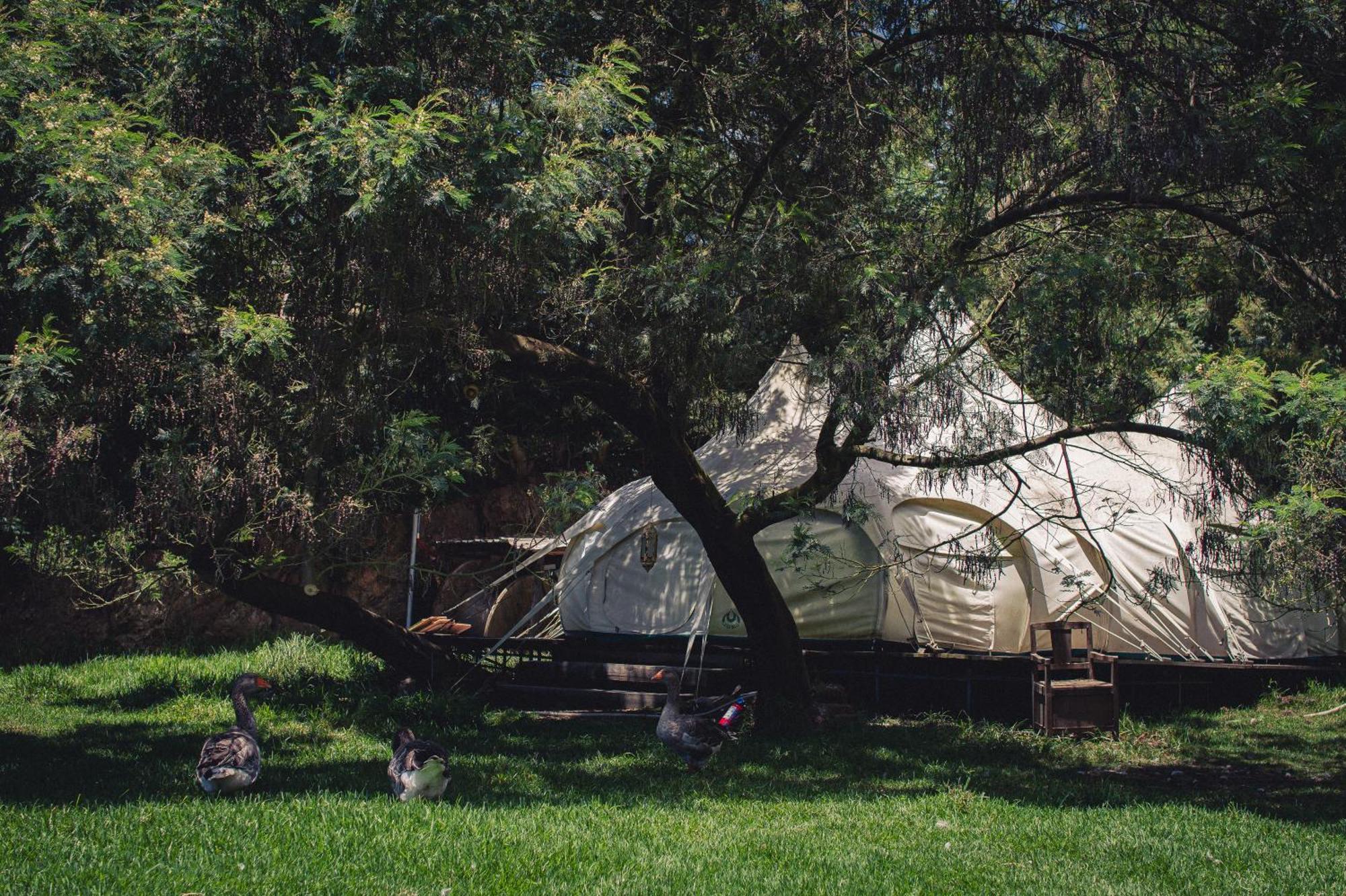 Arambha Ecovillage Farmstay Tabua  Bagian luar foto
