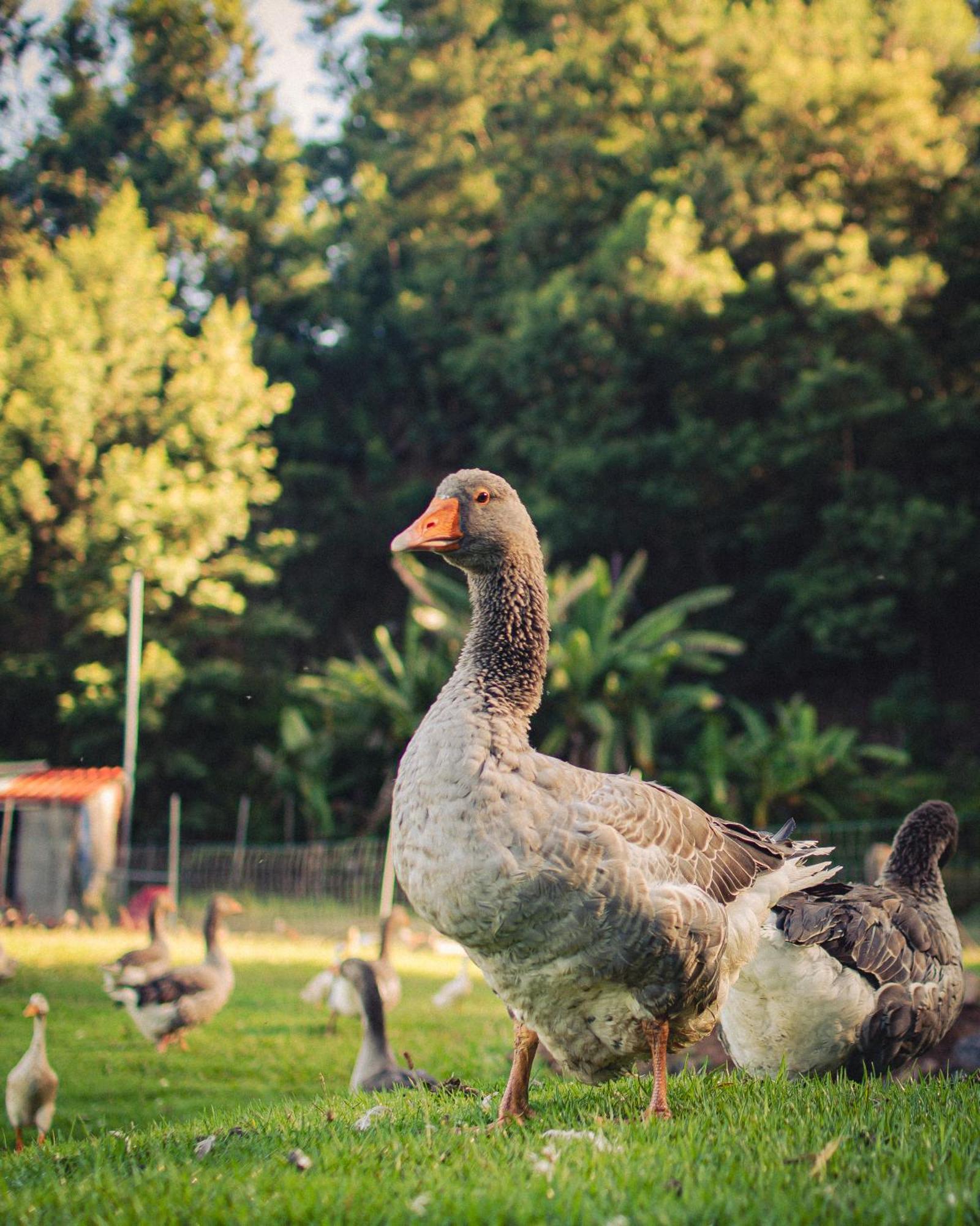 Arambha Ecovillage Farmstay Tabua  Bagian luar foto