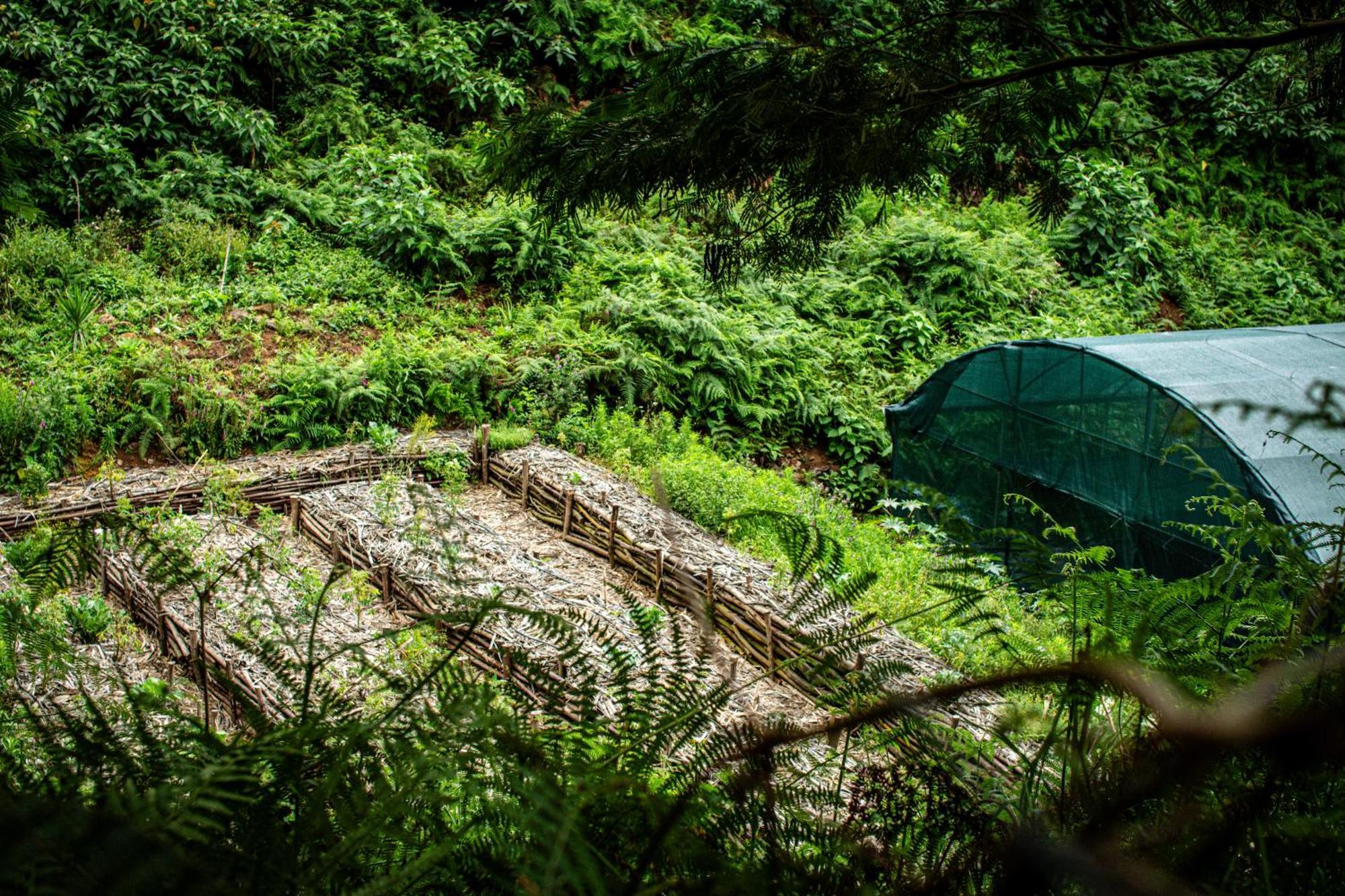 Arambha Ecovillage Farmstay Tabua  Bagian luar foto